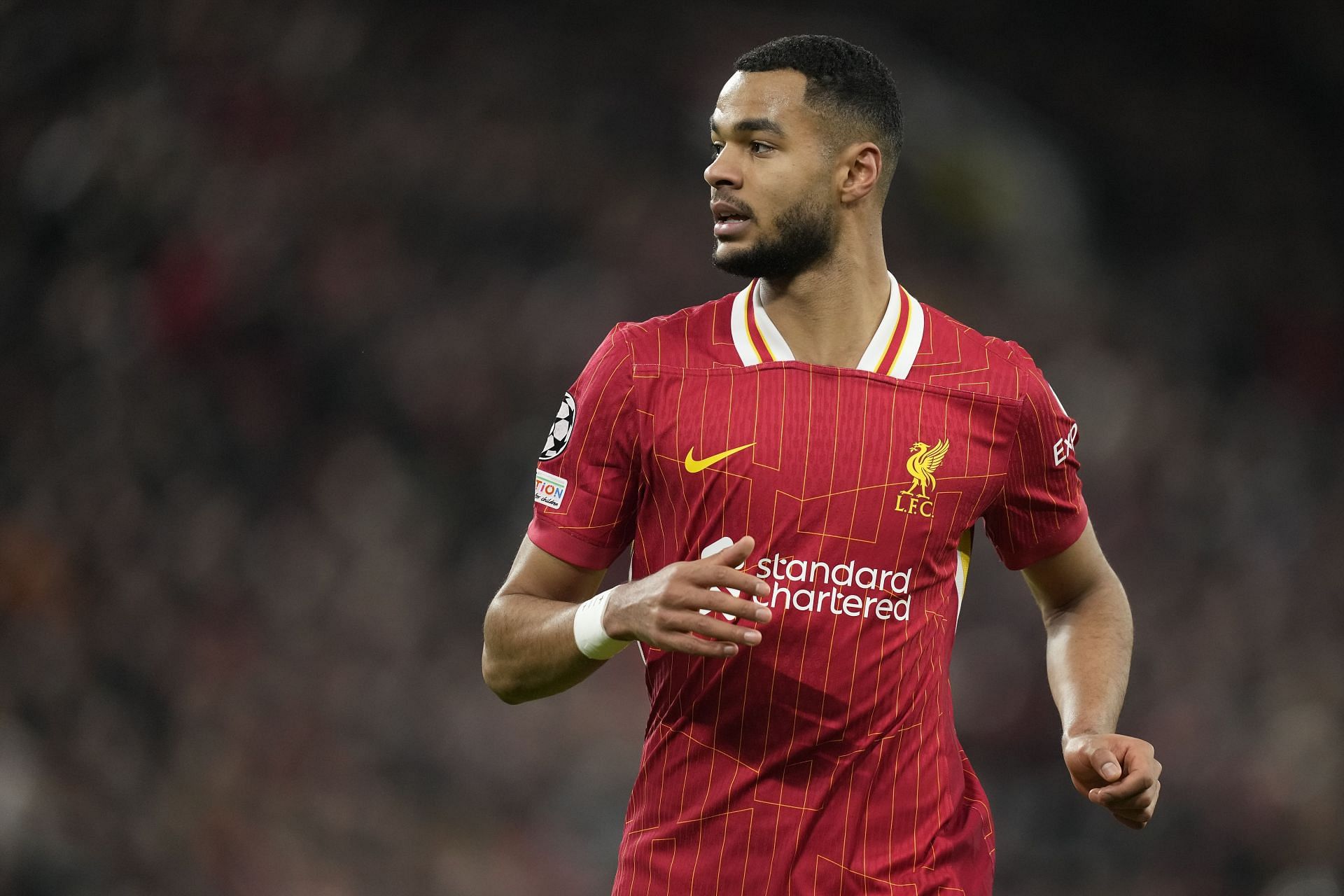 Liverpool attacker Cody Gakpo